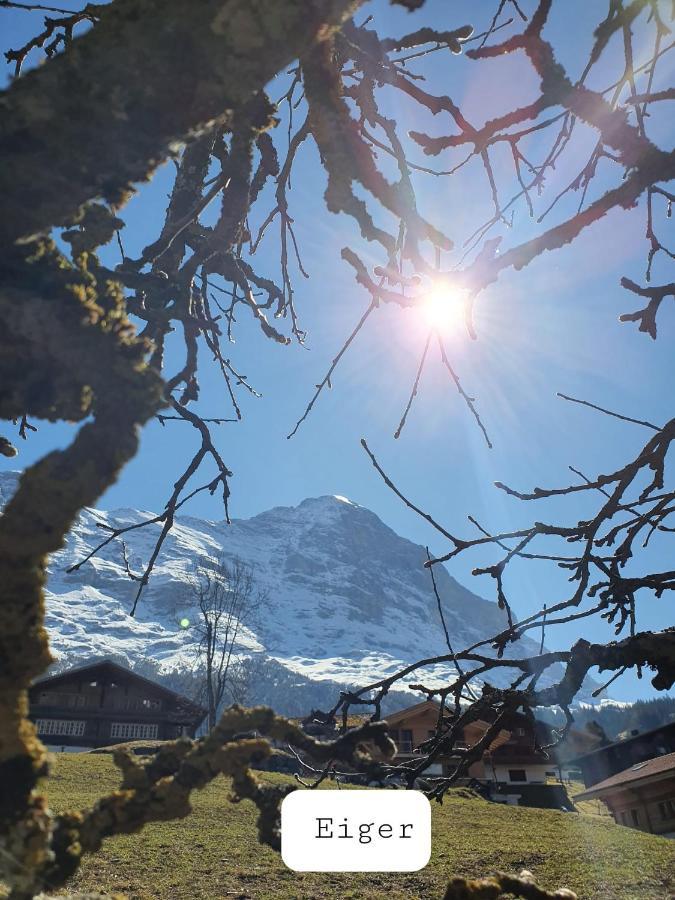 Apartment Lilalama Grindelwald Eksteriør bilde