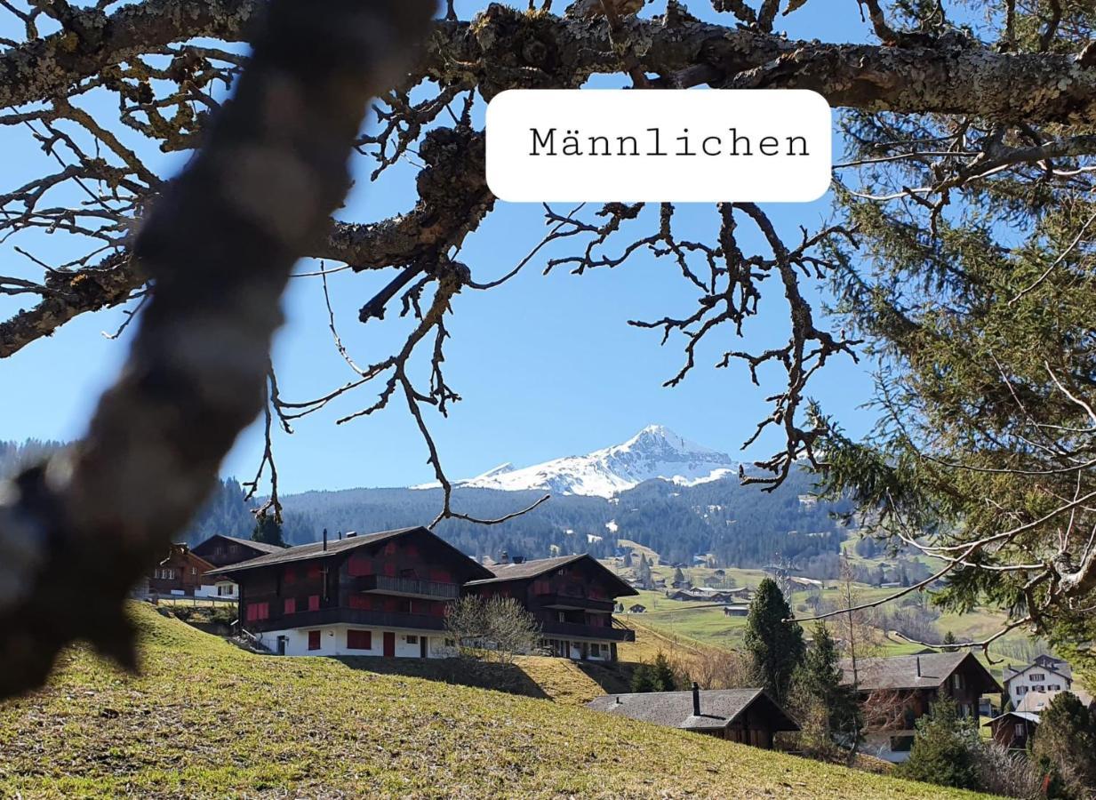 Apartment Lilalama Grindelwald Eksteriør bilde