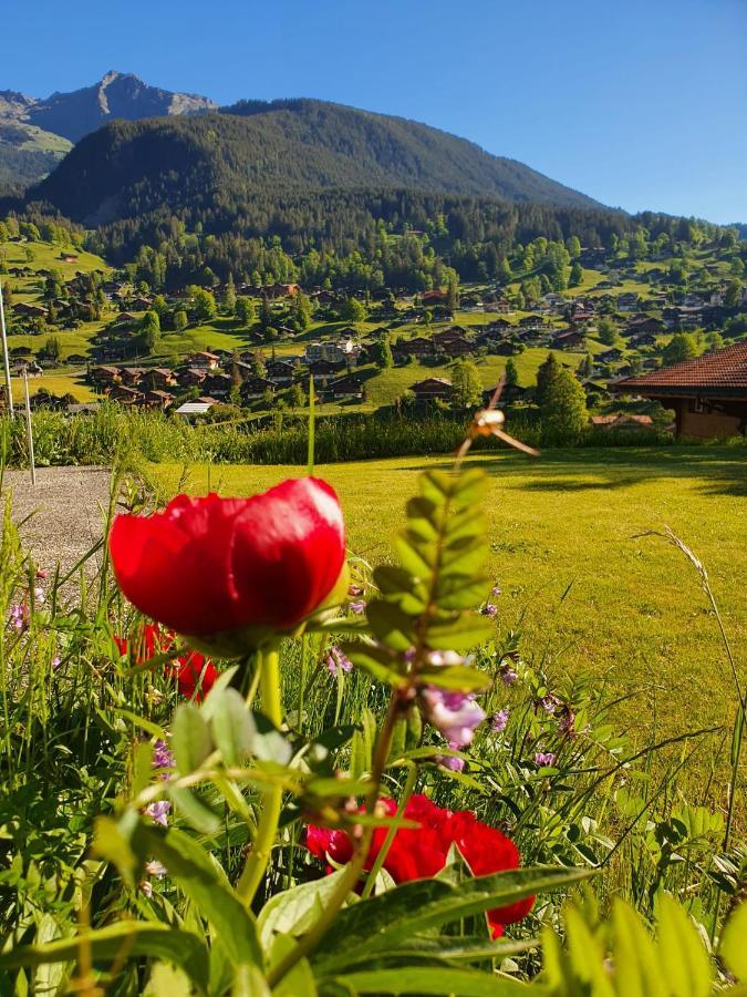 Apartment Lilalama Grindelwald Eksteriør bilde